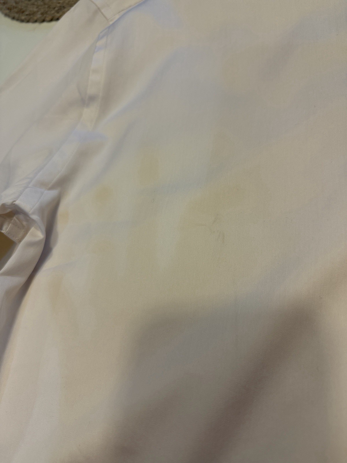 Todd Snyder Cream Silk Spread Collar Dress Shirt. Sz 16. NWT. SEE PICTURES