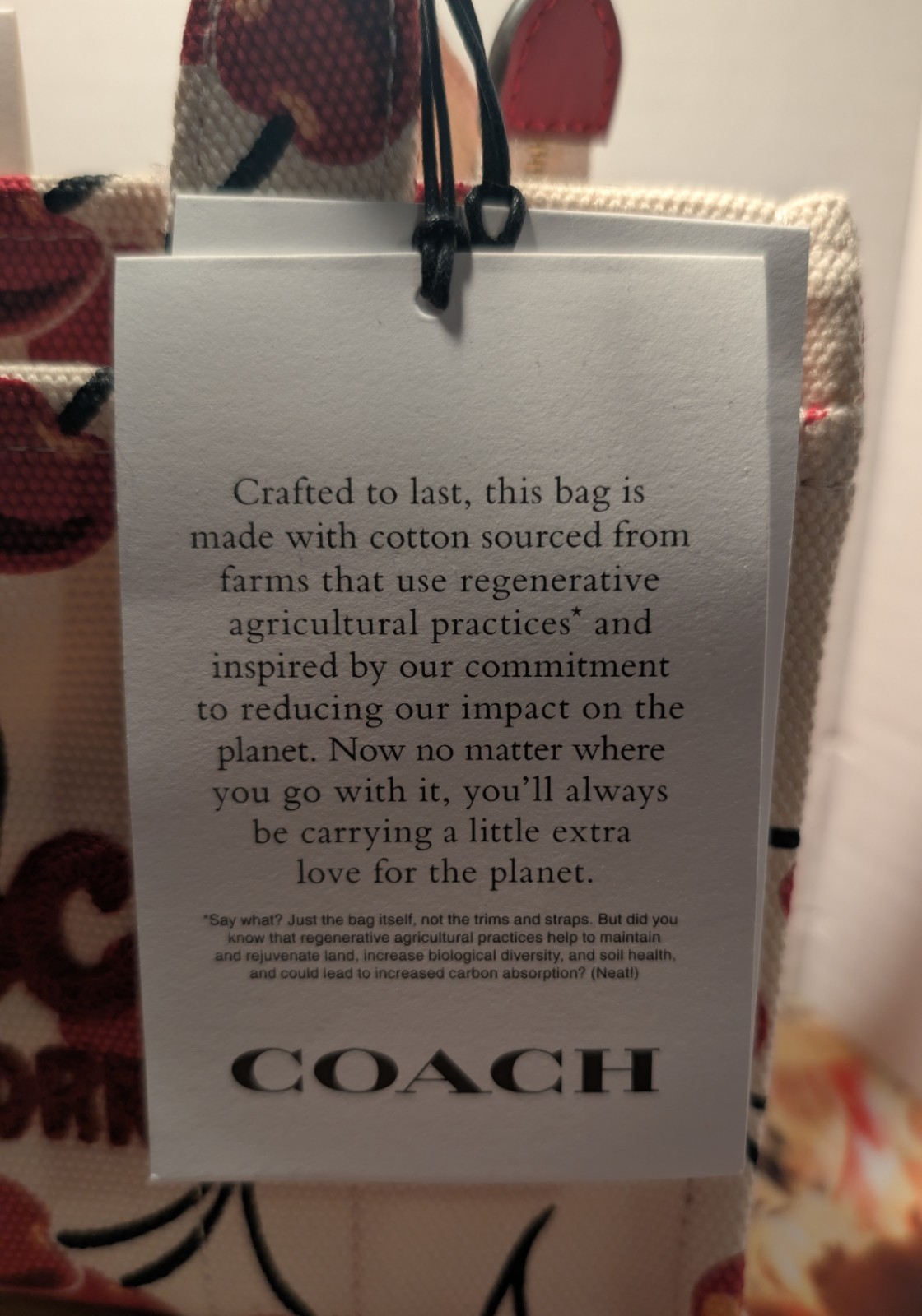 Coach Cherry Print. Top Handle Bag Detachable Strap Zip. “Absolutely Never Used”