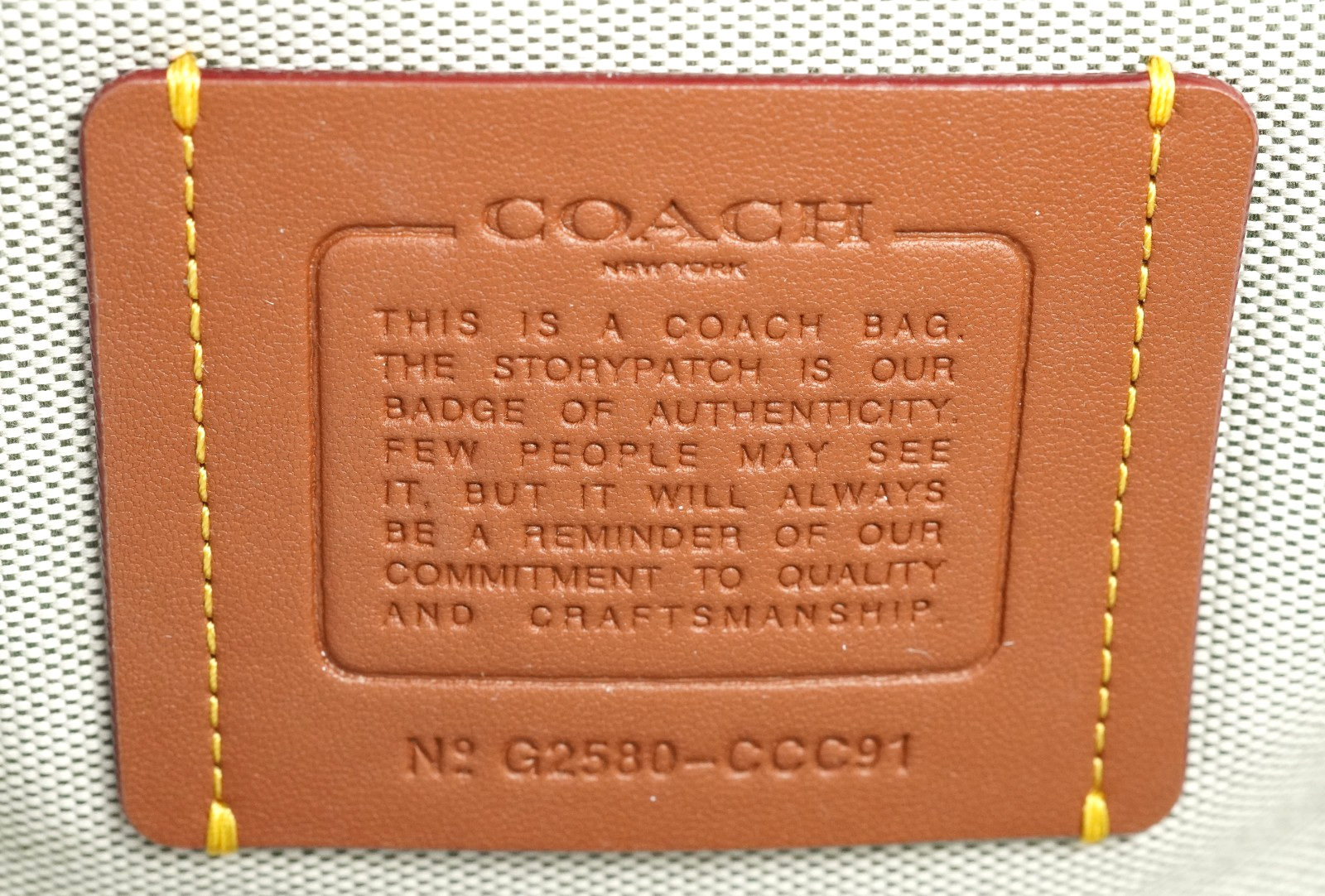 COACH Cube Rogue Bag 20 Olive CCC91 LHOLV　Ships in 24H