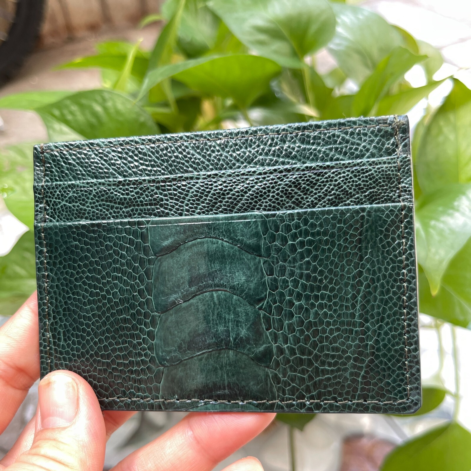 GreenGENUINE OSTRICH LEATHER SKIN CREDIT CARD HOLDER/ WALLET CARD HOLDER FOR MEN