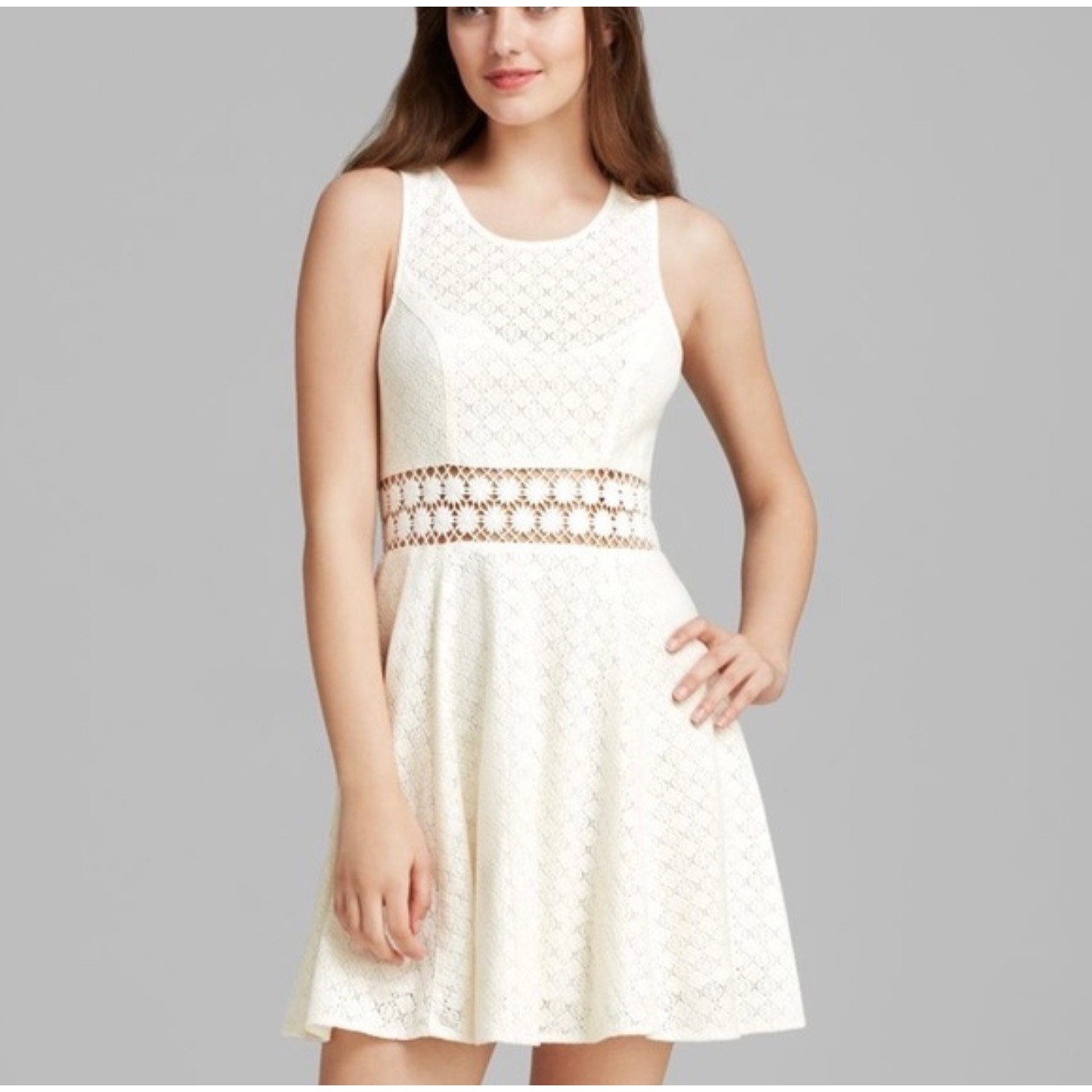 Free People Lace Daisy Cutout Crochet Waist Fit and Flare Mini Dress Size 8 Boho