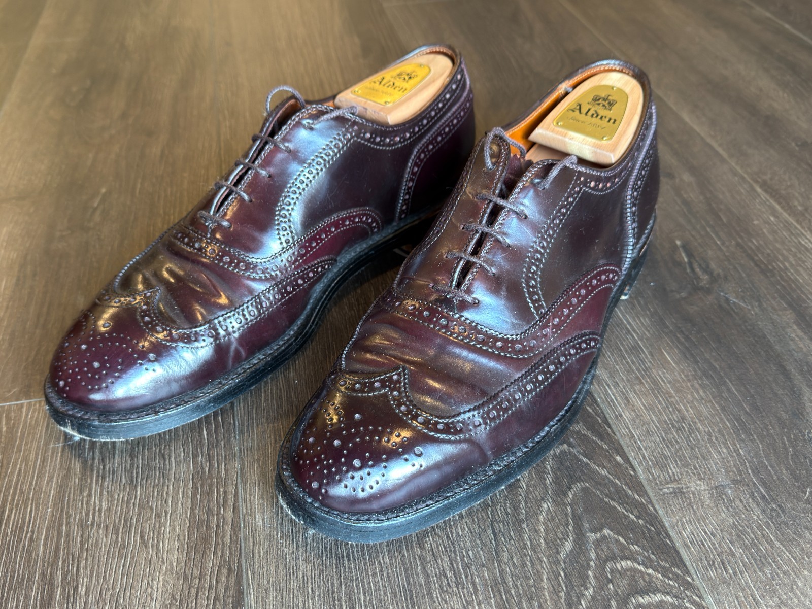 Alden Wing Tip Bal Oxford – Color 8 Shell Cordovan – 10D (Tremont) 974