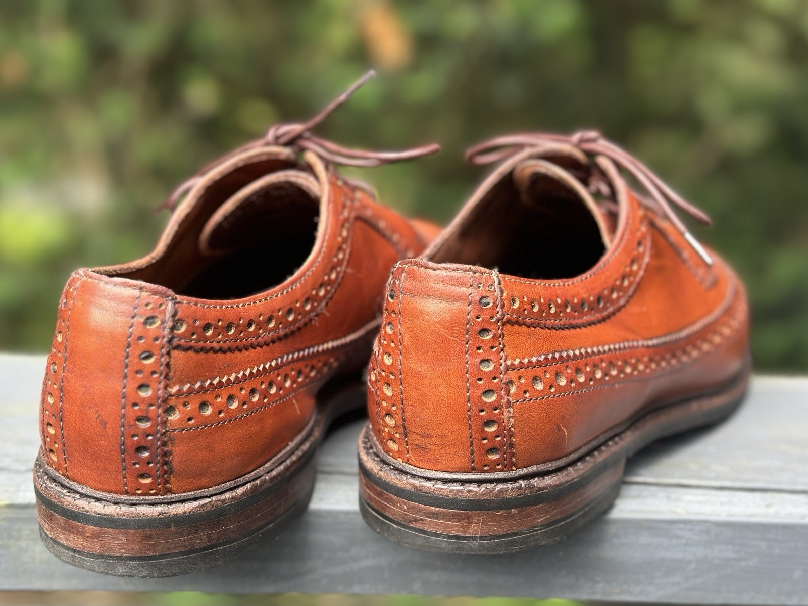Allen Edmonds Aberdeen Brown Leather Wingtip Brogue Longwing Oxford 10.5D