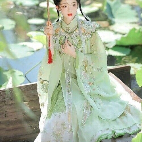 Chinese Hanfu Ming Dynasty Cloud Shoulder Stand Collar Long Shirt Pleated Dress