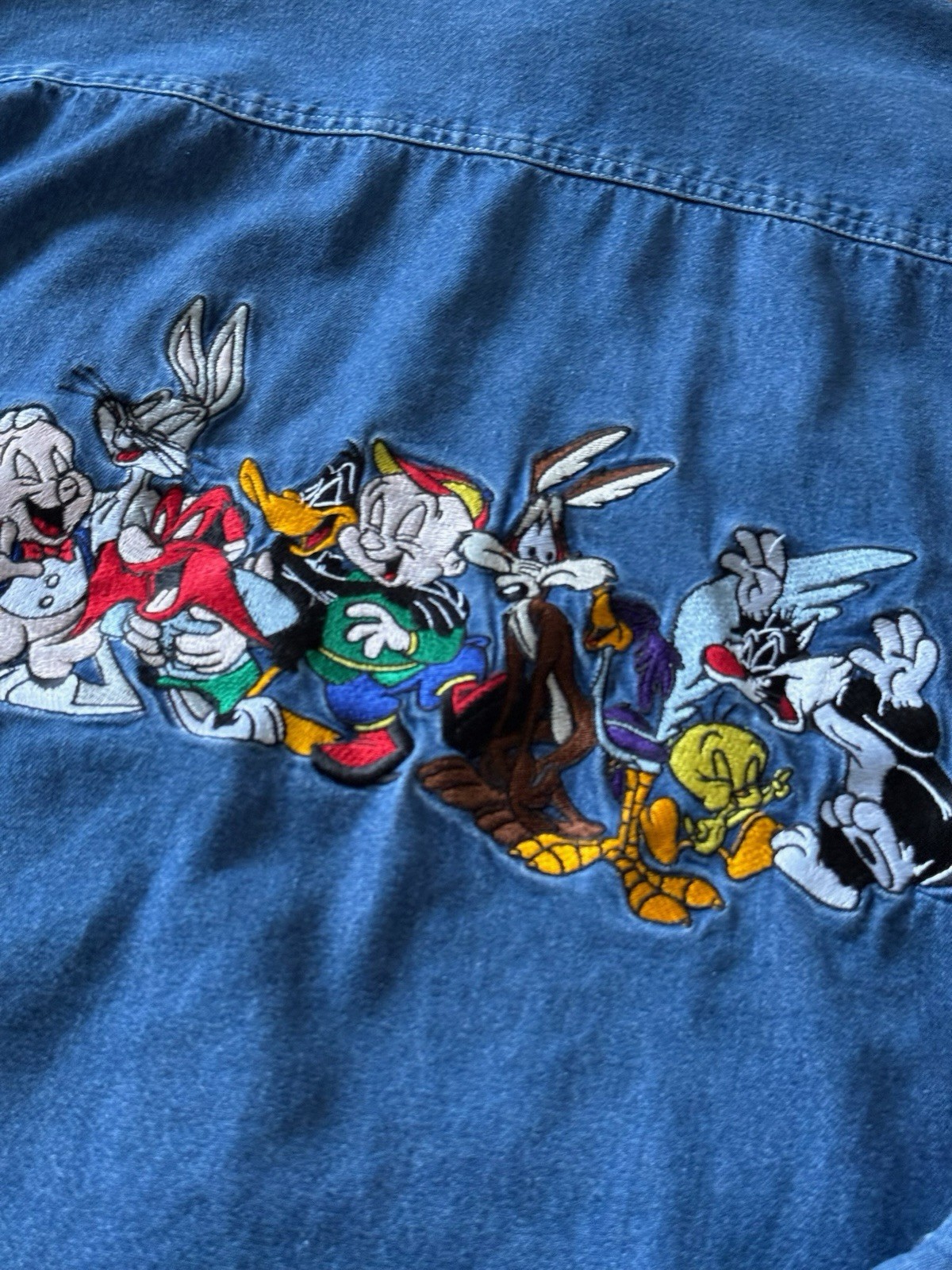 Warner Bros Studio Store Looney Tunes Denim Shirt Embroidered Vintage 90s Sz Sm