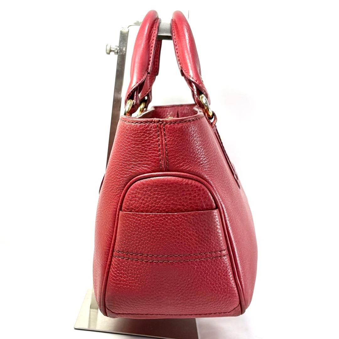 [Rare & Highly Sought-After] CELINE Genuine Leather Handbag (Boogie Bag)
