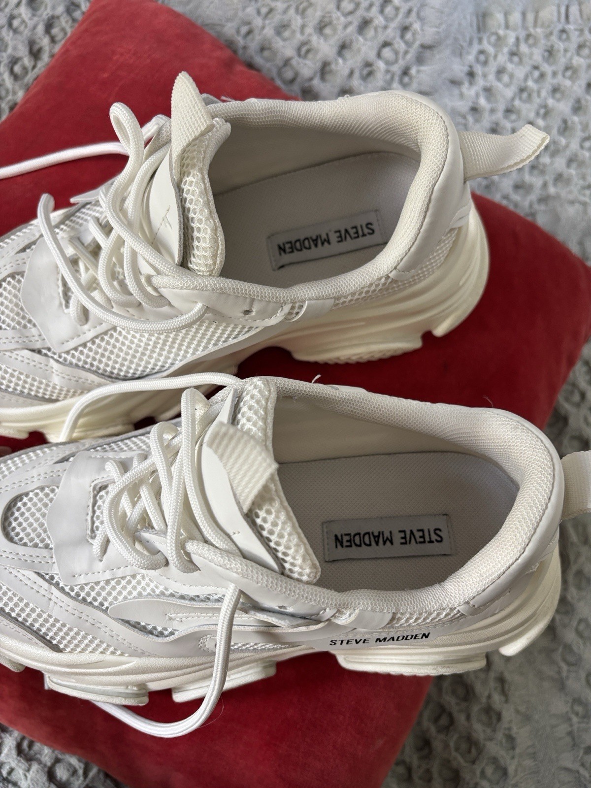 Steve Madden Women’s