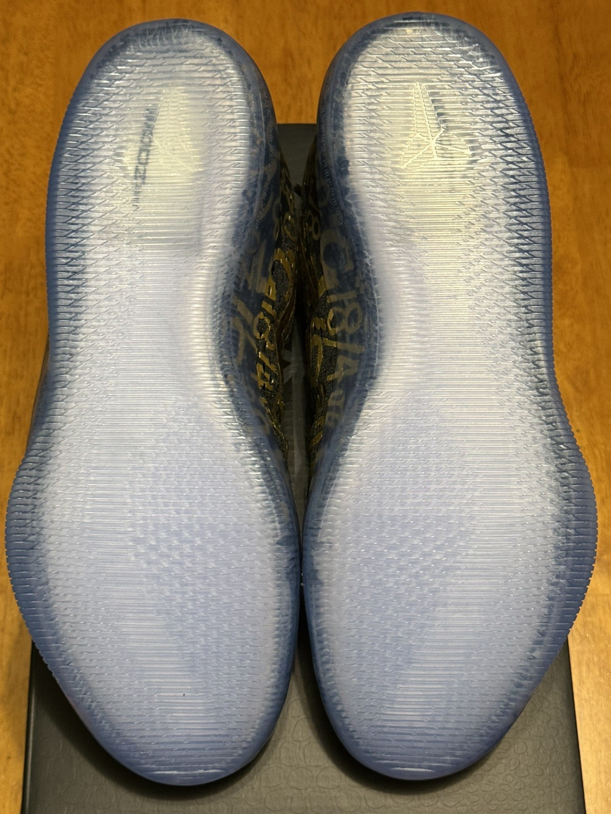 Kobe 11 Mamba Day Protro Size 11