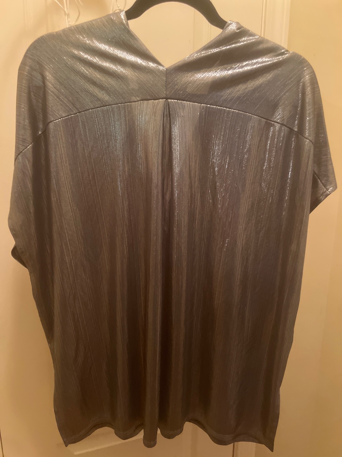 Adrienne Silver Shirt