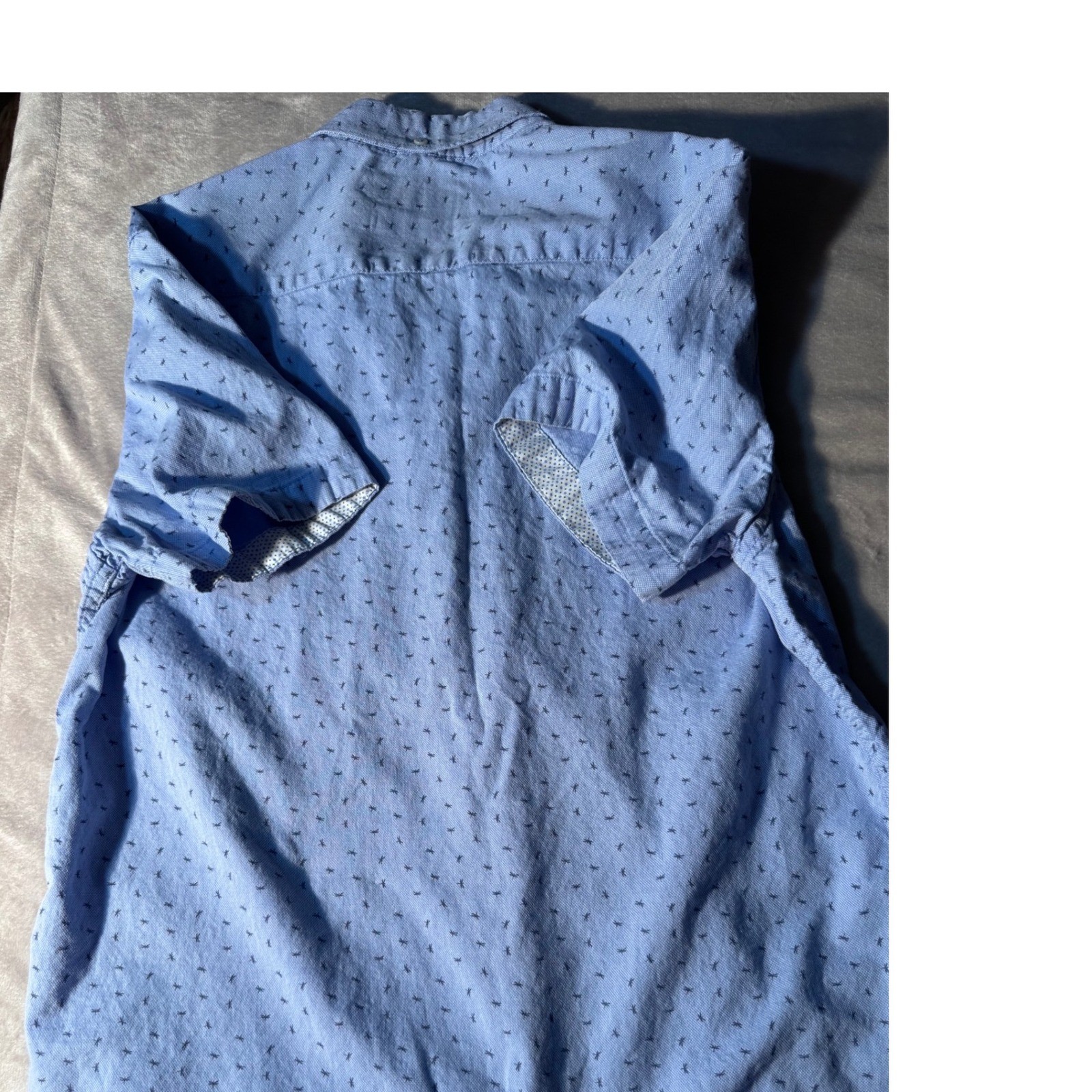 Denim & Flower Ricky Singh Mens Medium Blue Dragonfly Print Cotton Button Down