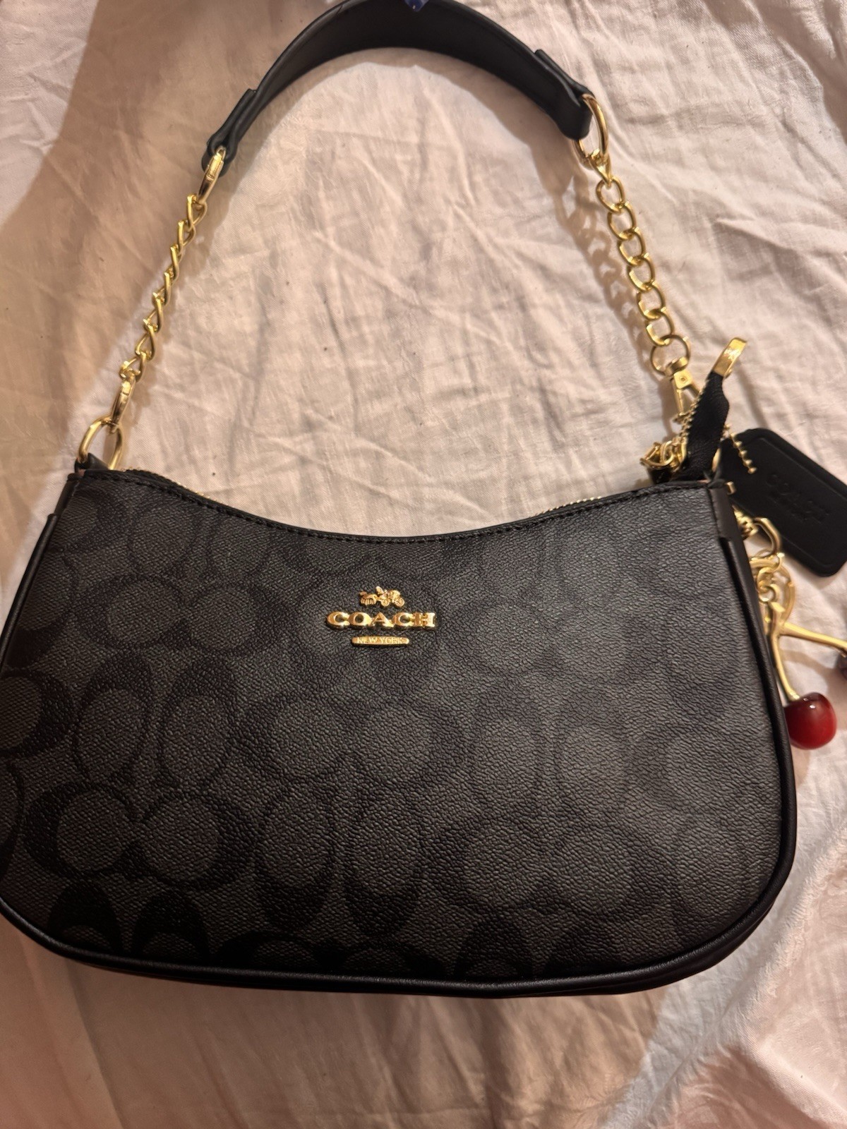 Coach Teri Shoulder Bag