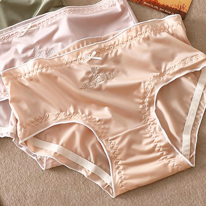 5 Pack Lot Sexy Womens Silky Satin Panties Underwear Ladies Lingeries Briefs