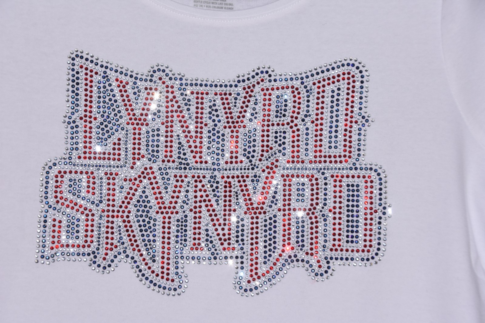 Lynyrd Skynyrd rhinestone shirt or tank XS S M L XL XXL 1X 2X 3X 4X 5X
