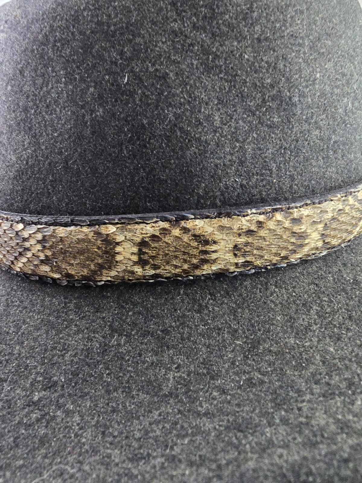 RATTLESNAKE skin hat band adjustable and rattlesnake bone Western cowboy cowgirl