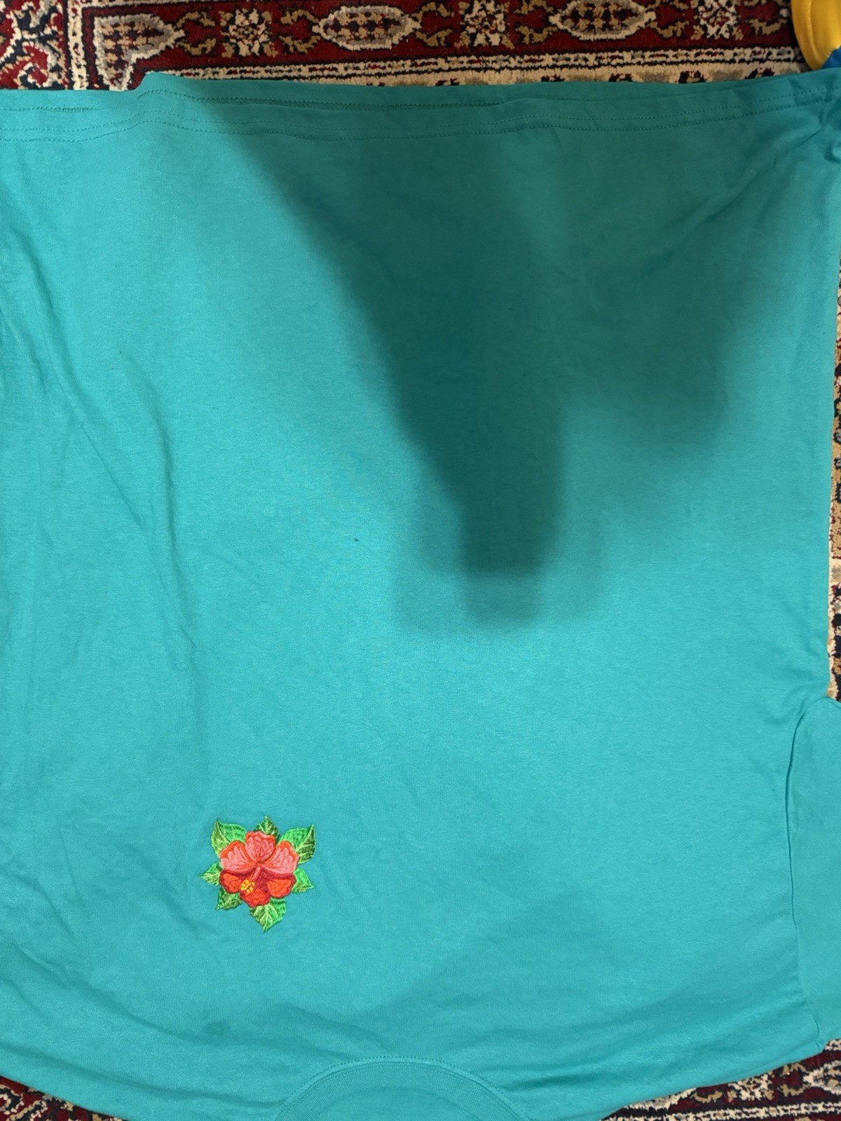 Hanes Heavyweight Blend Women’s 2XL Blue Fleece Pullover Floral Embroidered