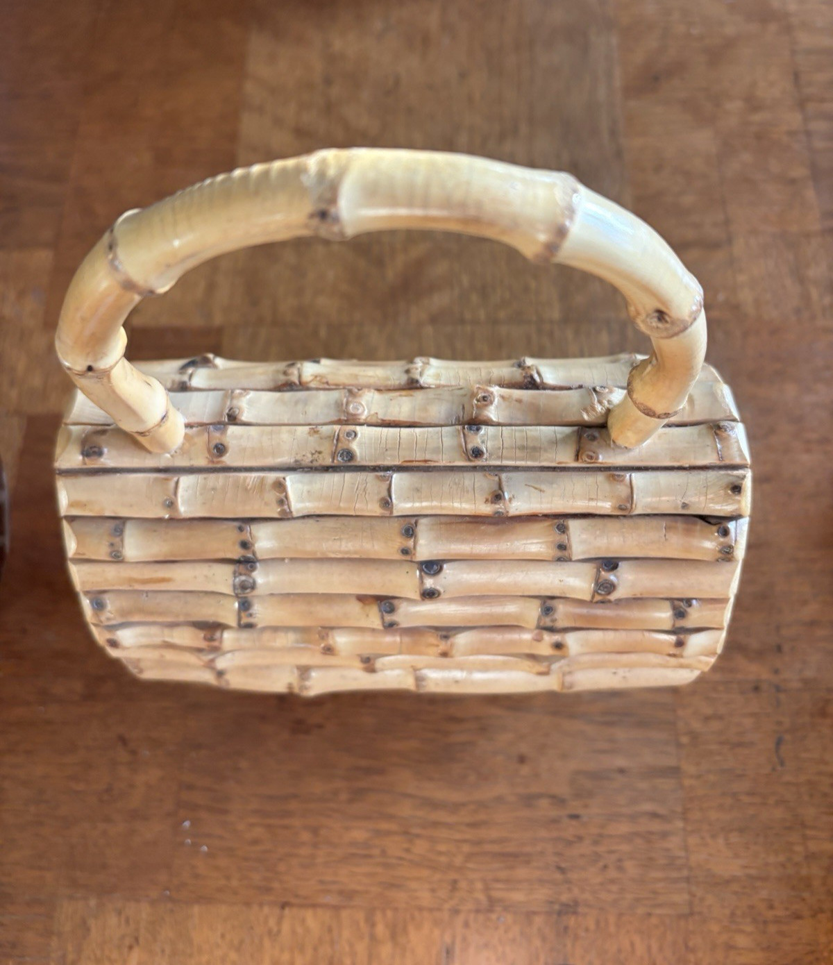 Glorinha Paranagua Bamboo Eberlee Purse Bag HTF Excellent
