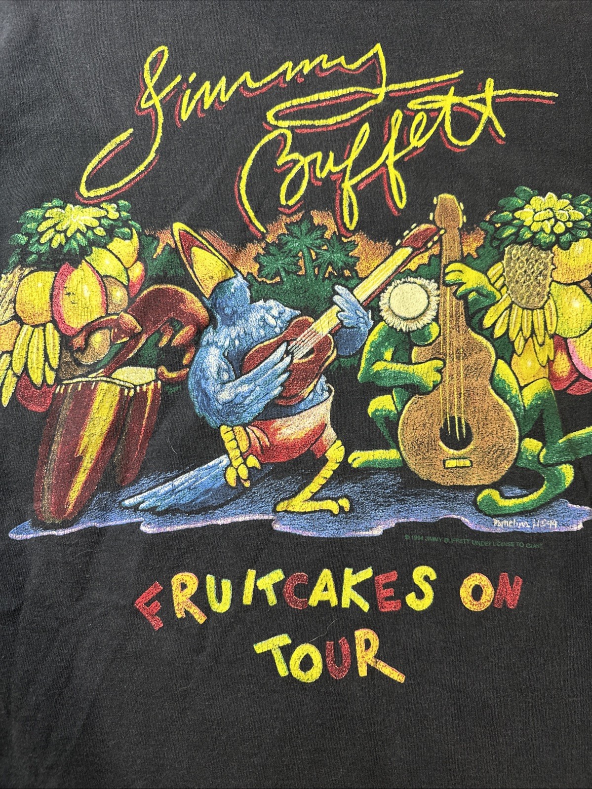 VINTAGE Jimmy Buffett 1994 Fruitcakes On Tour Mens L Black Single Stitch GIANT