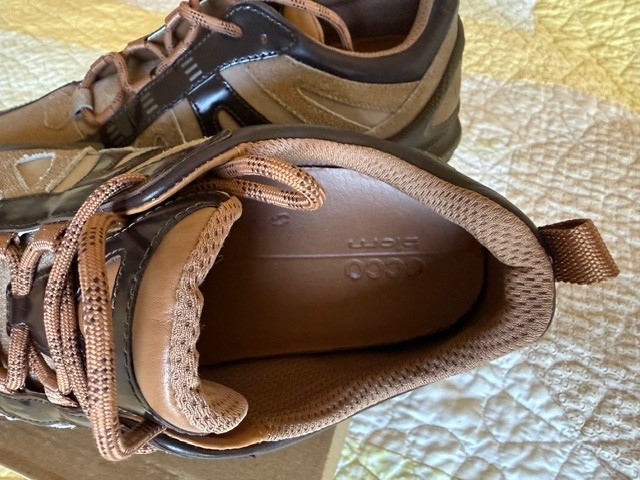 ECCO Biom C-Trail M GTX Leather Hiking Comfort Shoes, Size 11-11.5 EU 45 US