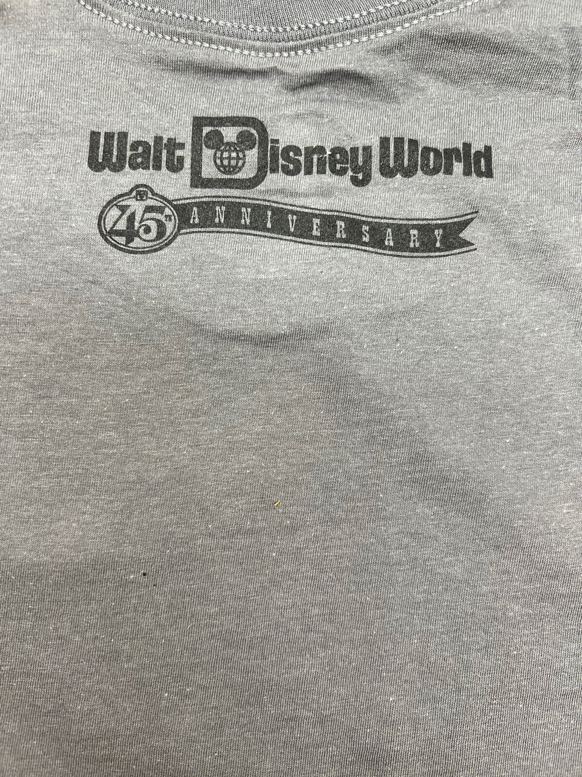 Disney’s The Haunted Mansion 45TH Anniversary Tee Shirt Medium Glow in the Dark