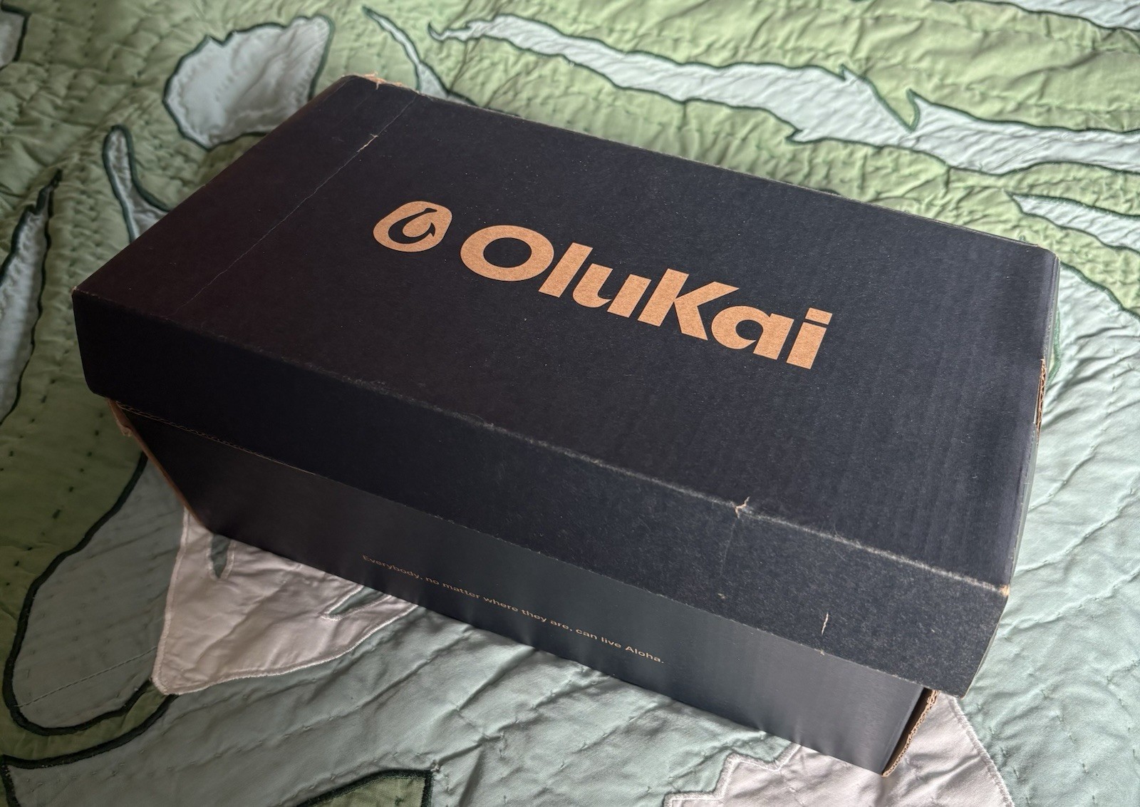 Olukai La’i Slides Taupe Women’s 6 Mint Condition (not Including Box) Slides