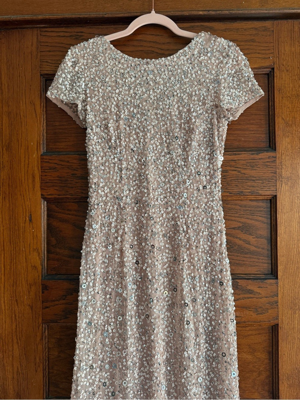 ADRIANNA PAPELL Scoop Back Sequin Maxi Gown Short Sleeve Full Length Blush Nude