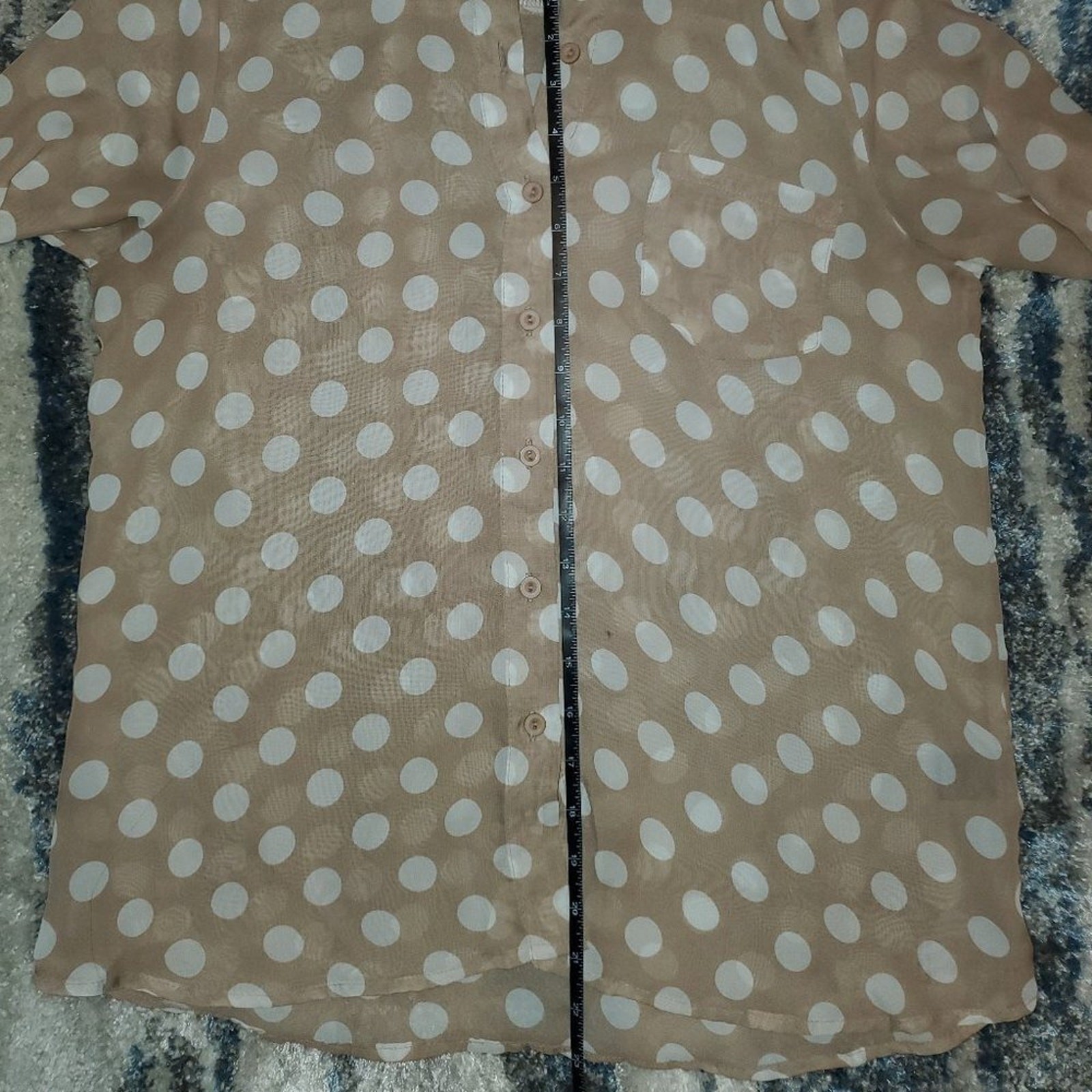 Timing Long Sleeve Sheer Polka Dot Top || Small