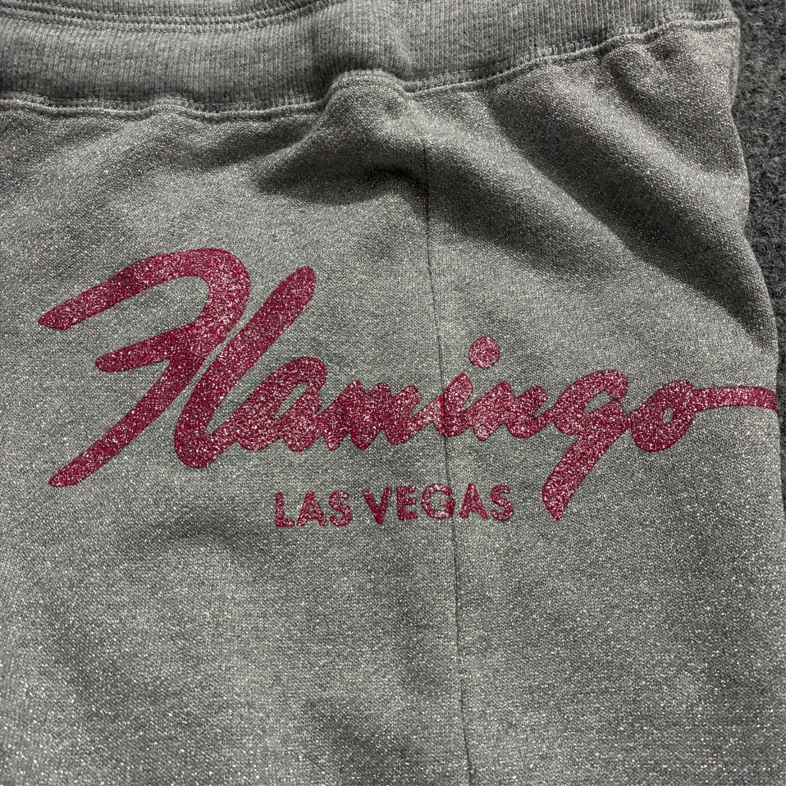 Flamingo Las Vegas Celebrity Corbin Pants Womens Size XL Heather Gray Raw Hem