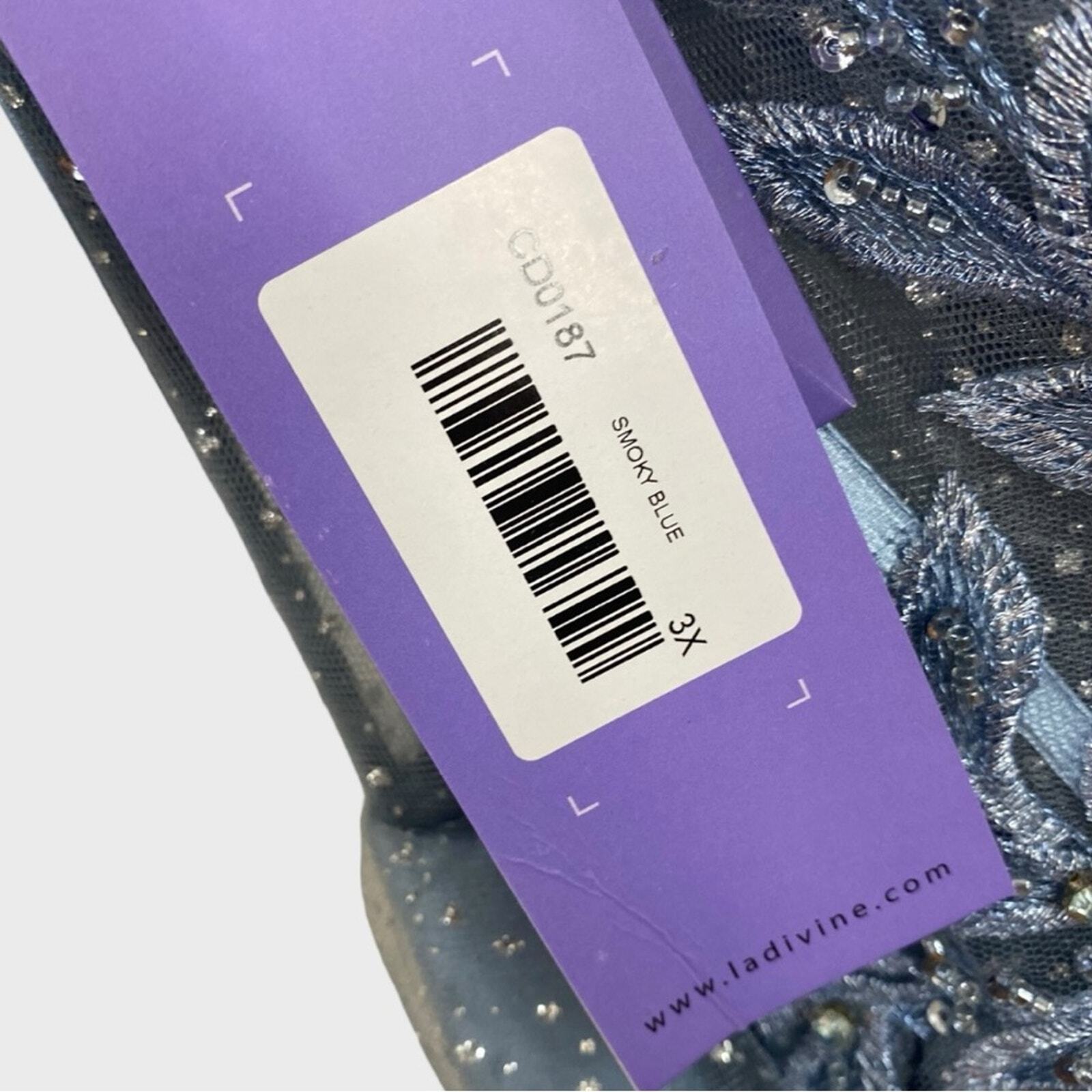 Ladivine by Cinderella Divine Smoky Blue Sheer Bodice Floral A-line Dress NWT 3X