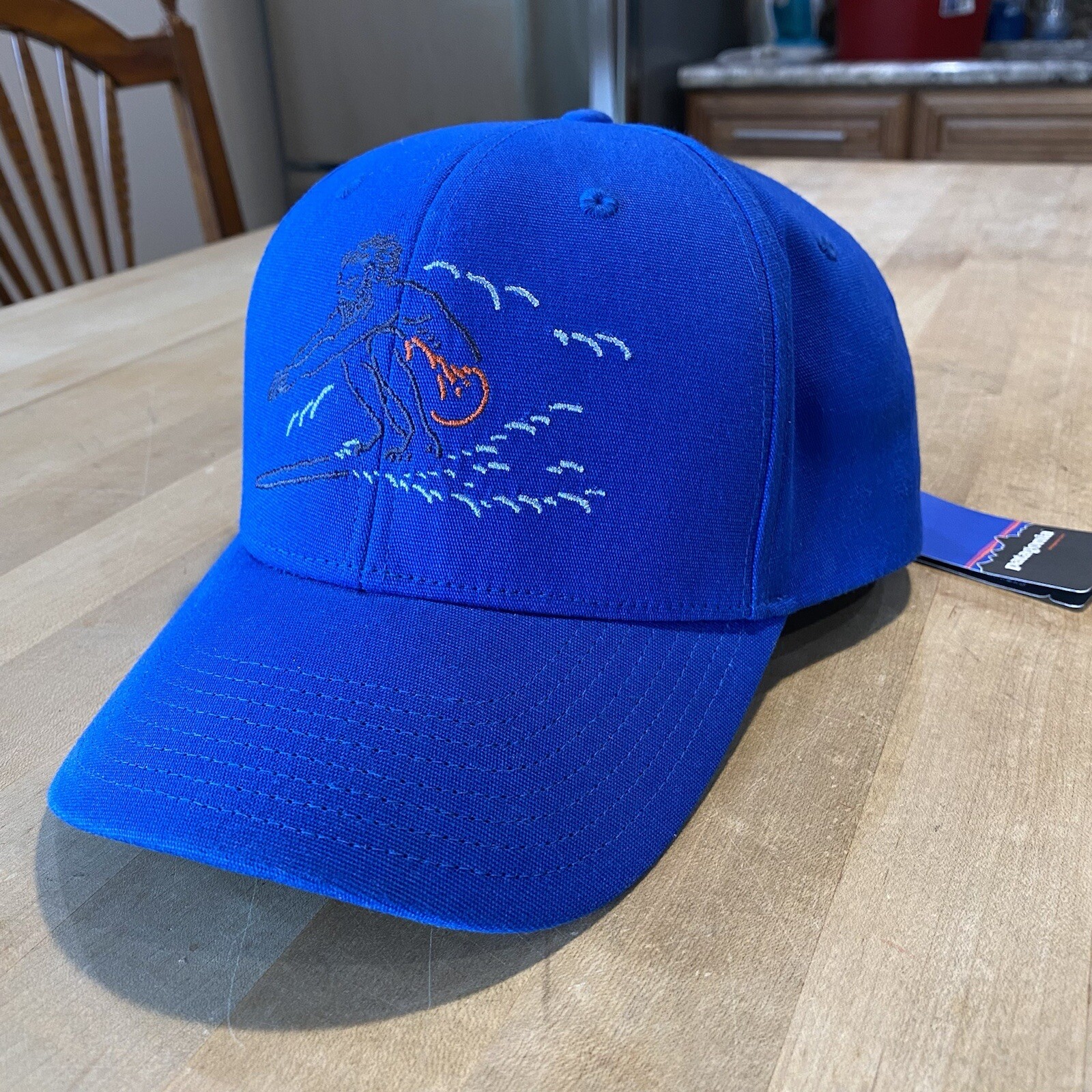 Patagonia Squatty Roger That Hat – New With Tags – Viking Blue – 2014 – Rare