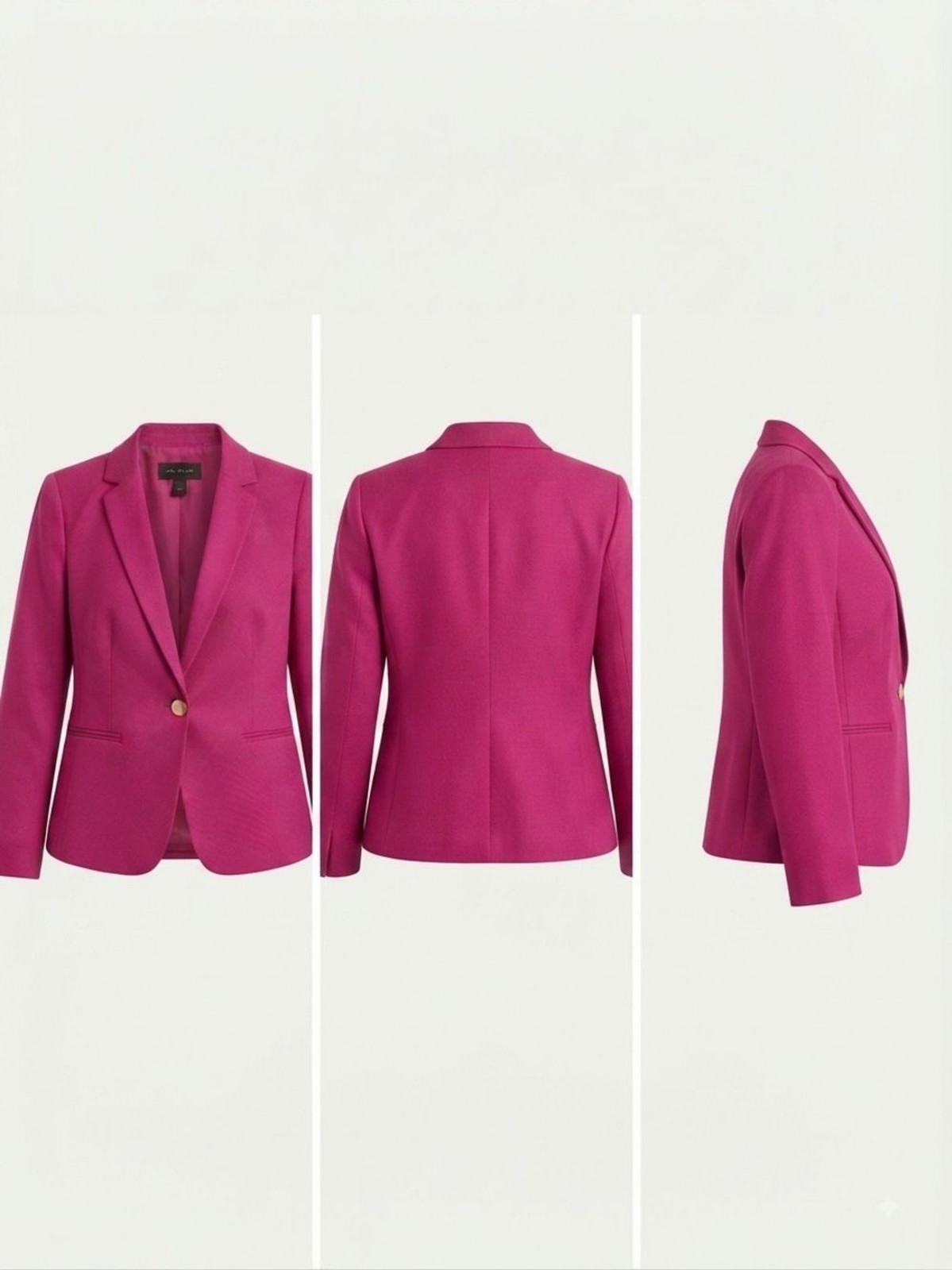 Ann Taylor Hot Pink Blazer Fuchsia Tailored Size 14