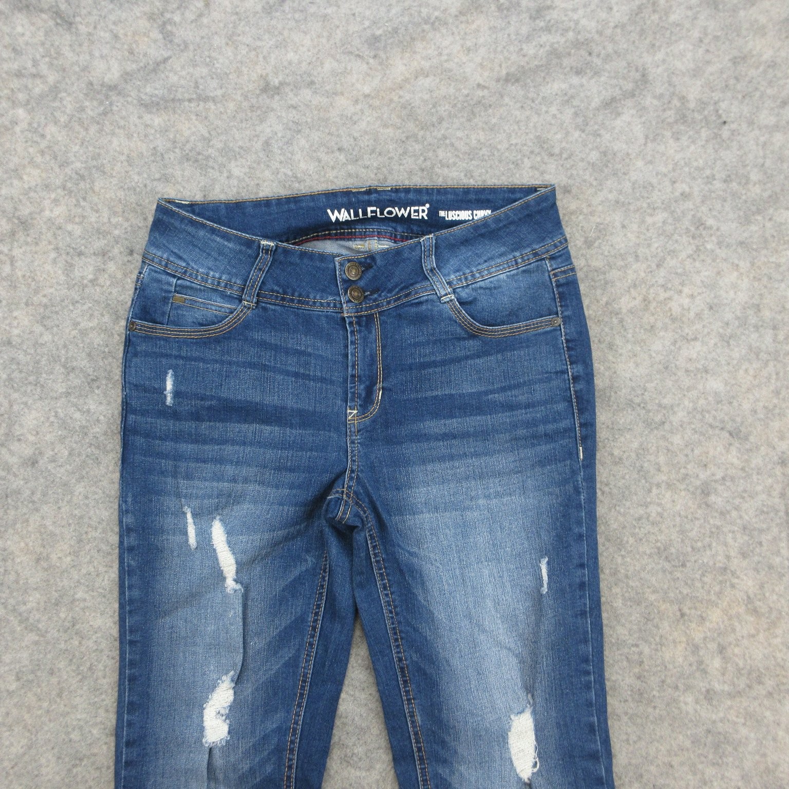 WALLFLOWER Jeans Women’s 6/7 Medium Wash Distressed Curvy Stretch Raw Hem