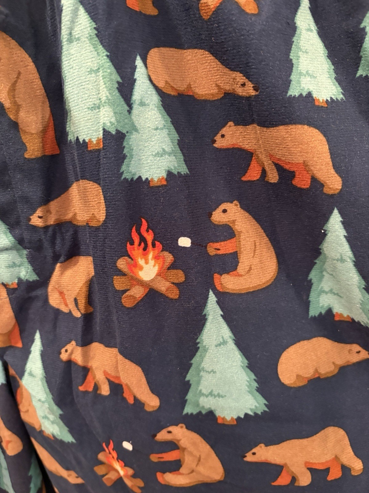 NWT Men’s Size L Sleep Pant From Trinity Collective Bear With Campfire Print
