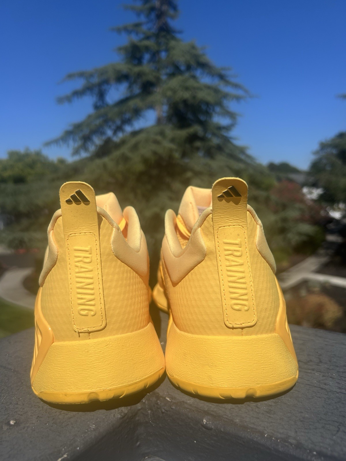 adidas Dropset 2.0 Spark Yellow Trainer Shoe