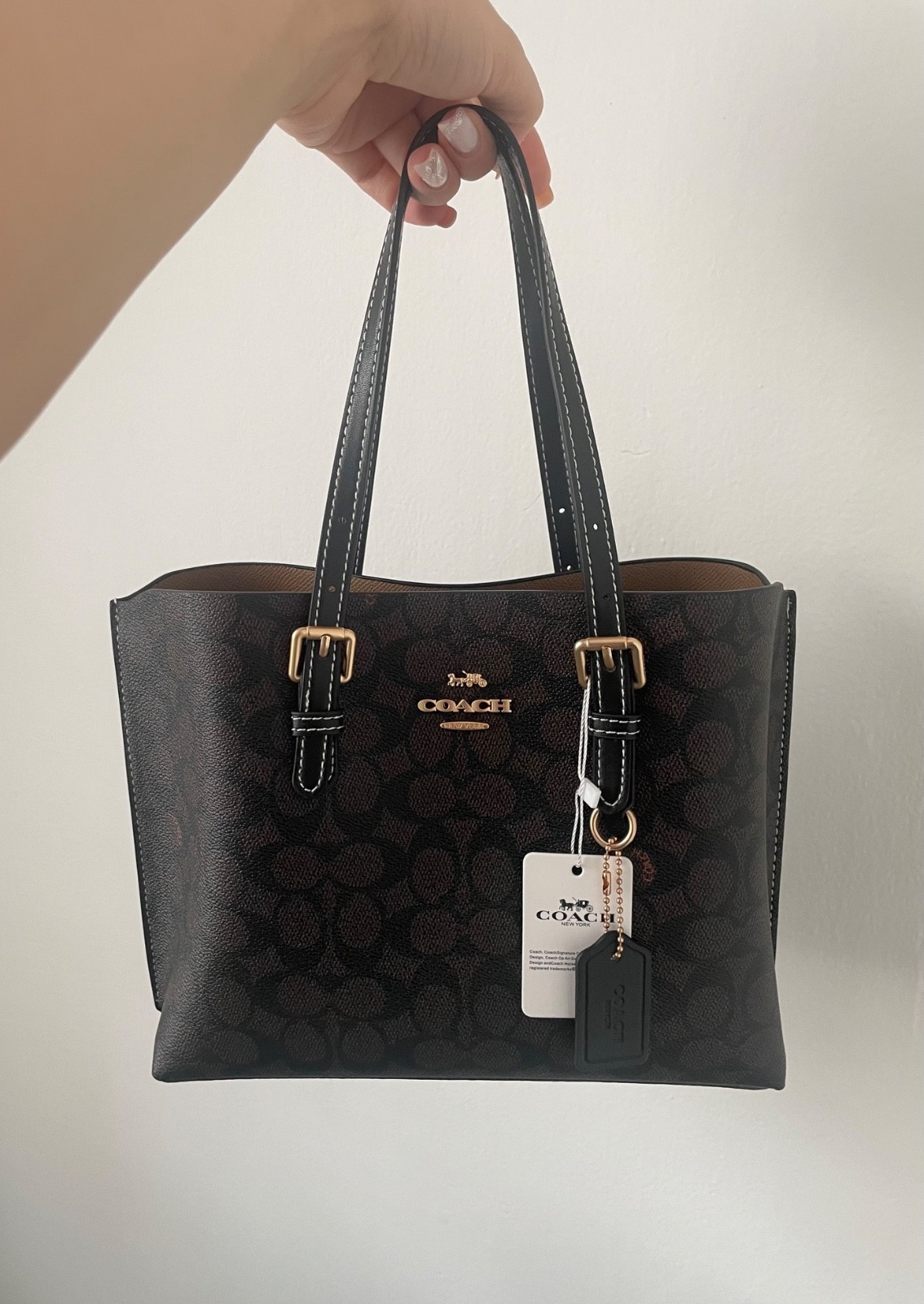 Coach mollie tote bag 25 signature canvas