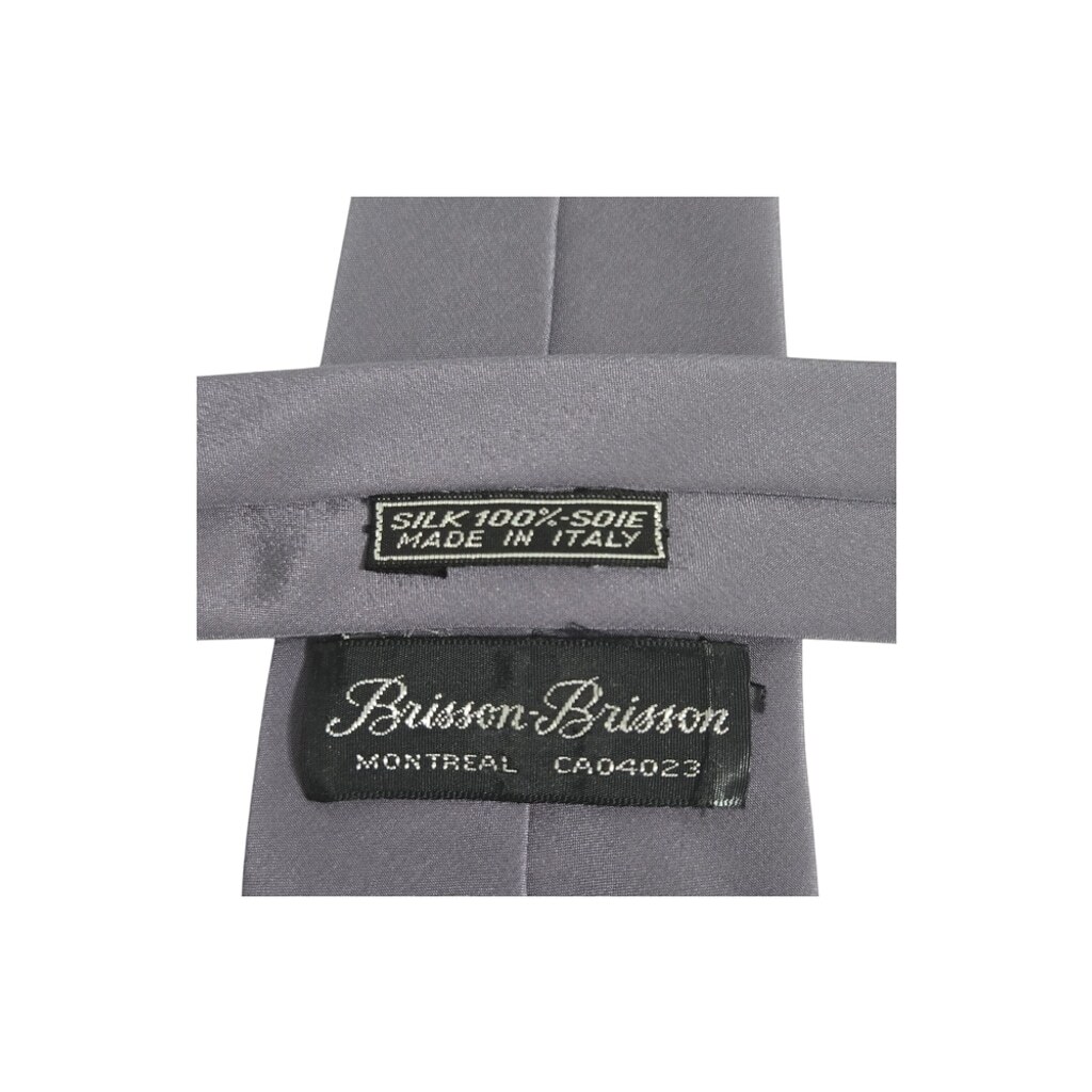 Brisson Gray Slim Mens Necktie with Matte Finish and Standard Length