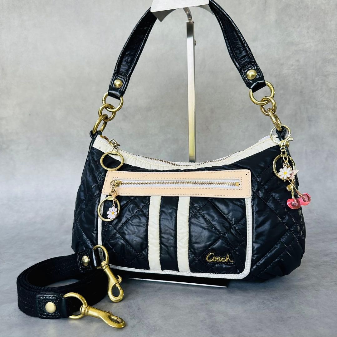 Y2K COACH Poppy Ski Bunny Groovy 2way Bag