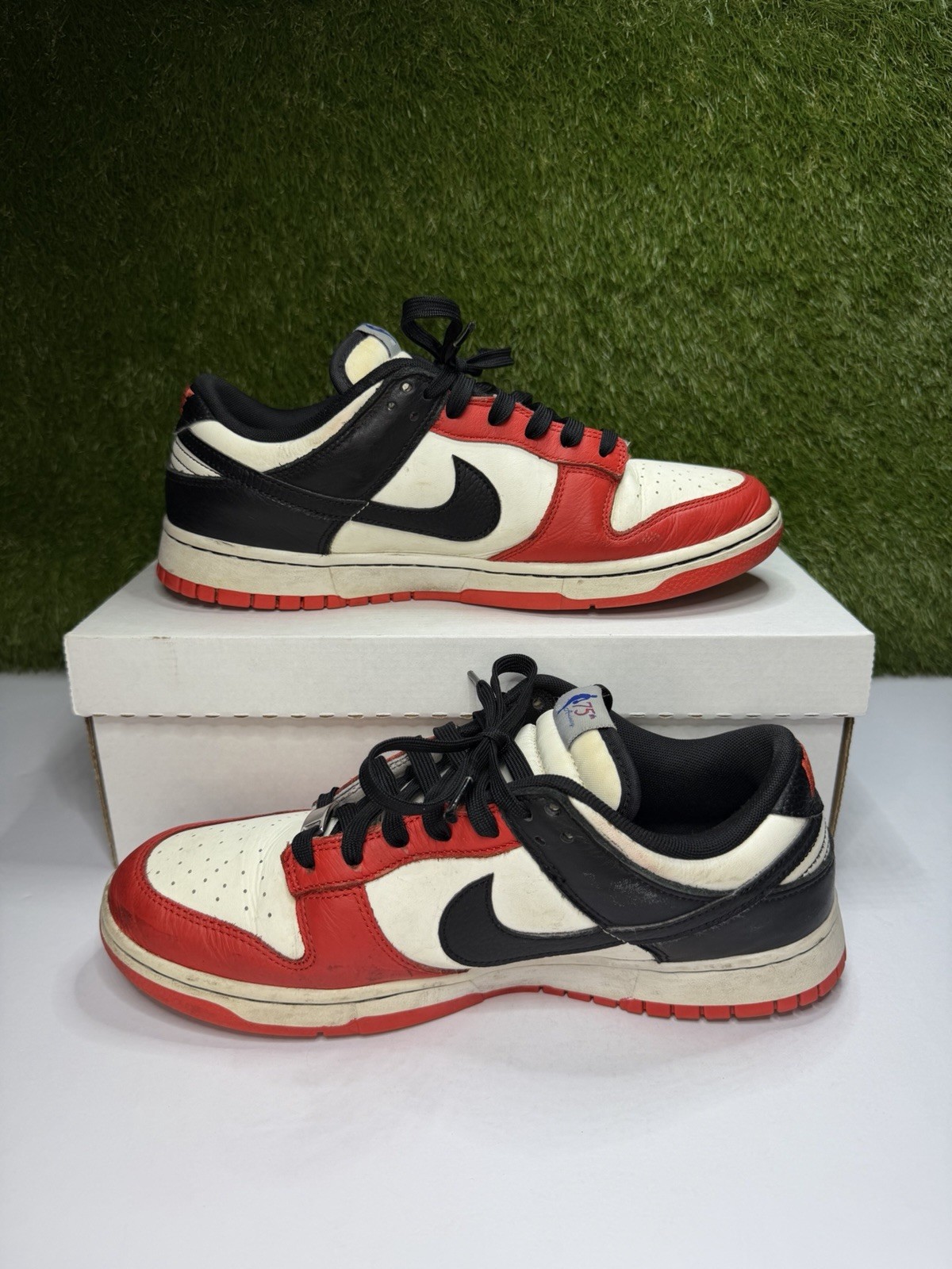 Nike Dunk Low EMB Chicago Bulls 75th Size 10.5 Mens Sneakers 2021 DD3363-100