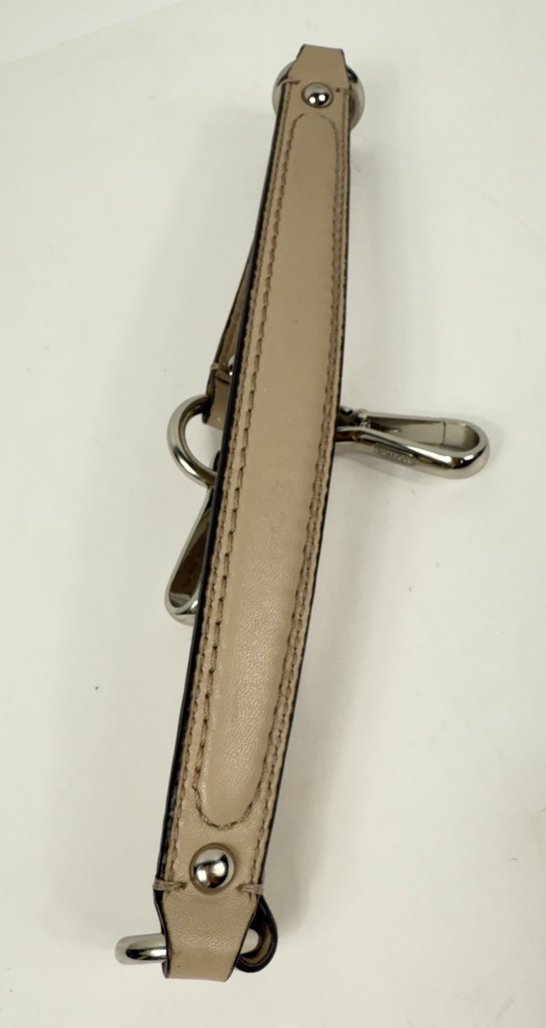 COACH Madison Shantung Chainlink Sophia Satchel Silver Bay Mist Leather/ Fabric