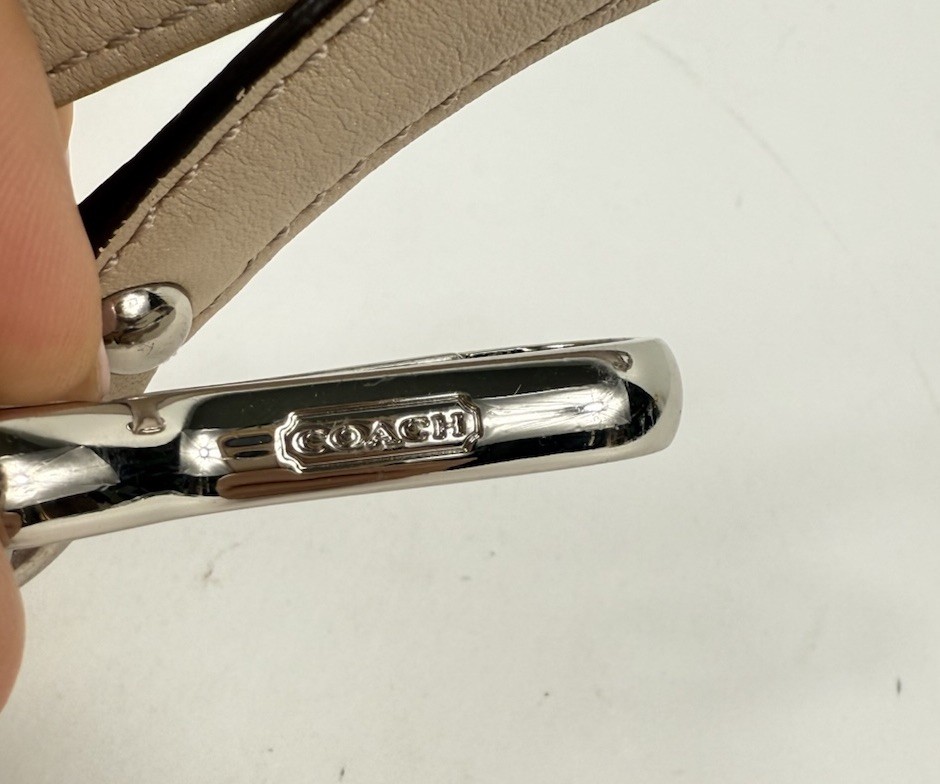 COACH Madison Shantung Chainlink Sophia Satchel Silver Bay Mist Leather/ Fabric