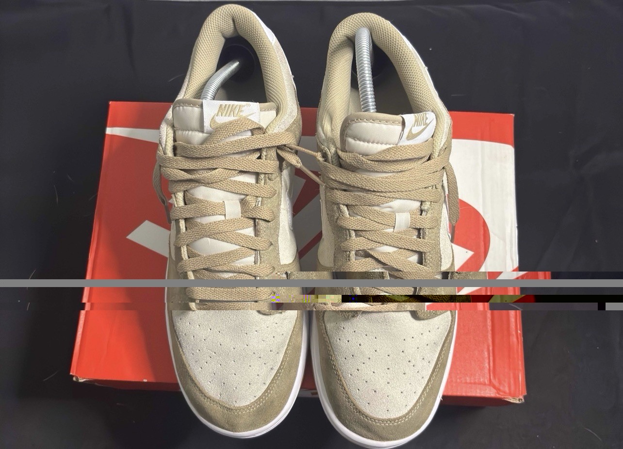 Size 11 – Nike Dunk SE Low Light Orewood Gum