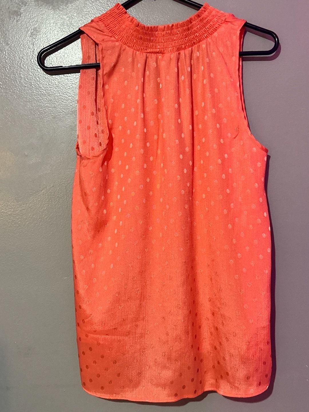 Chenault Coral Swiss Dot Sleeveless Smocked Neck Blouse