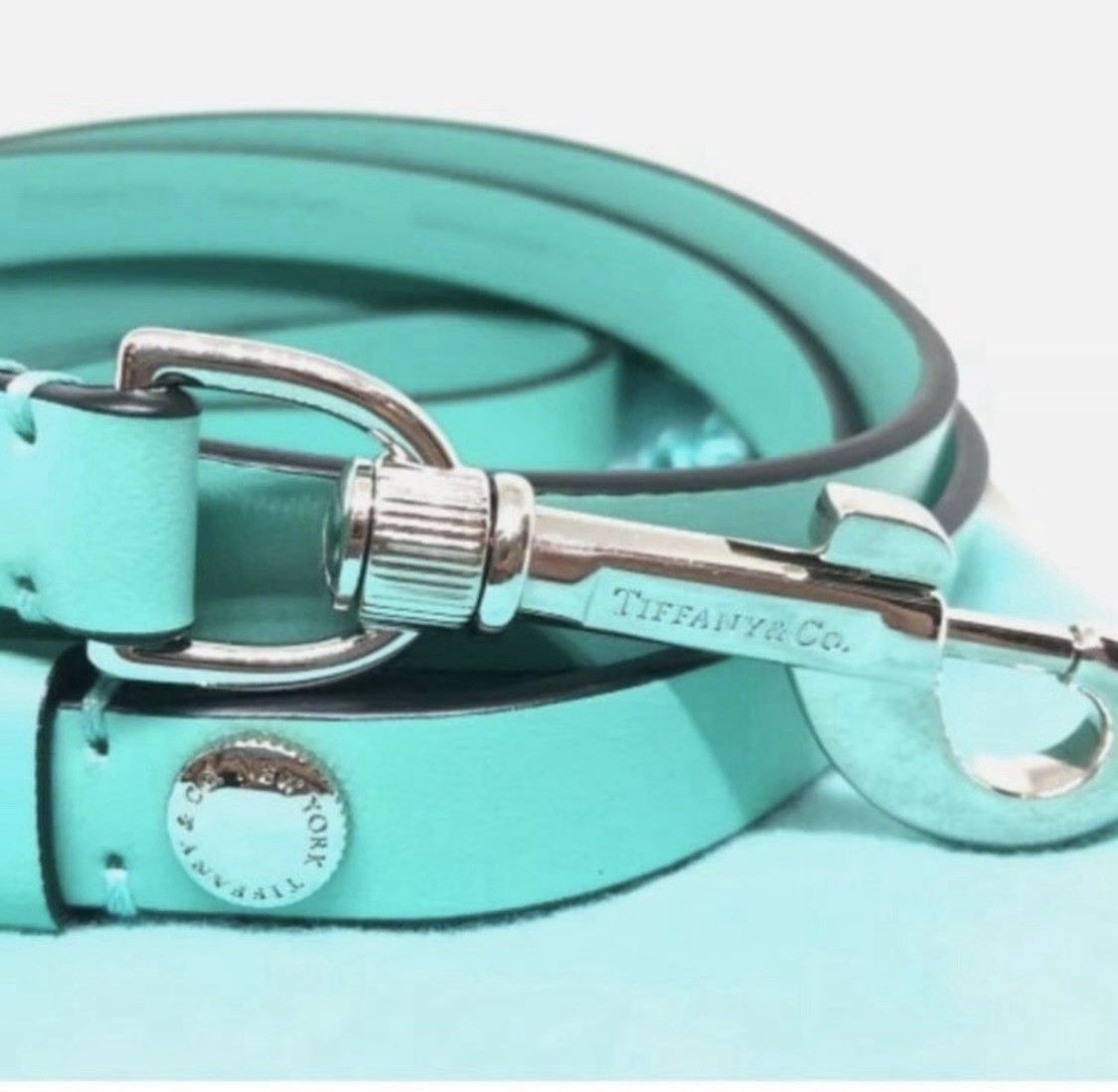 Tiffany & Co. Genuine Leather Dog Leash Swivel Hook Clasp Turquoise