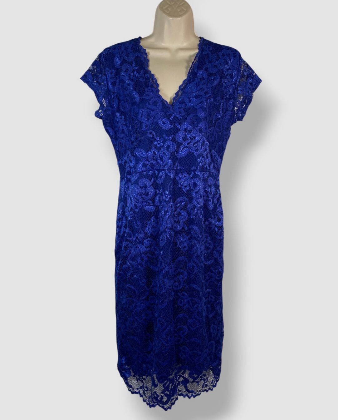 Quiz Women’s Blue Cap-Sleeve Lace-Print Sheath Dress Size 16