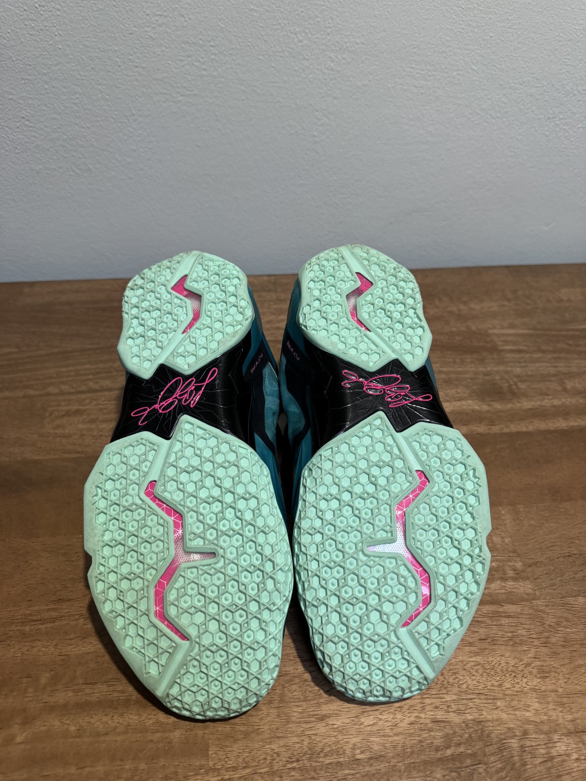 Size 10.5 – Nike LeBron 11 South Beach