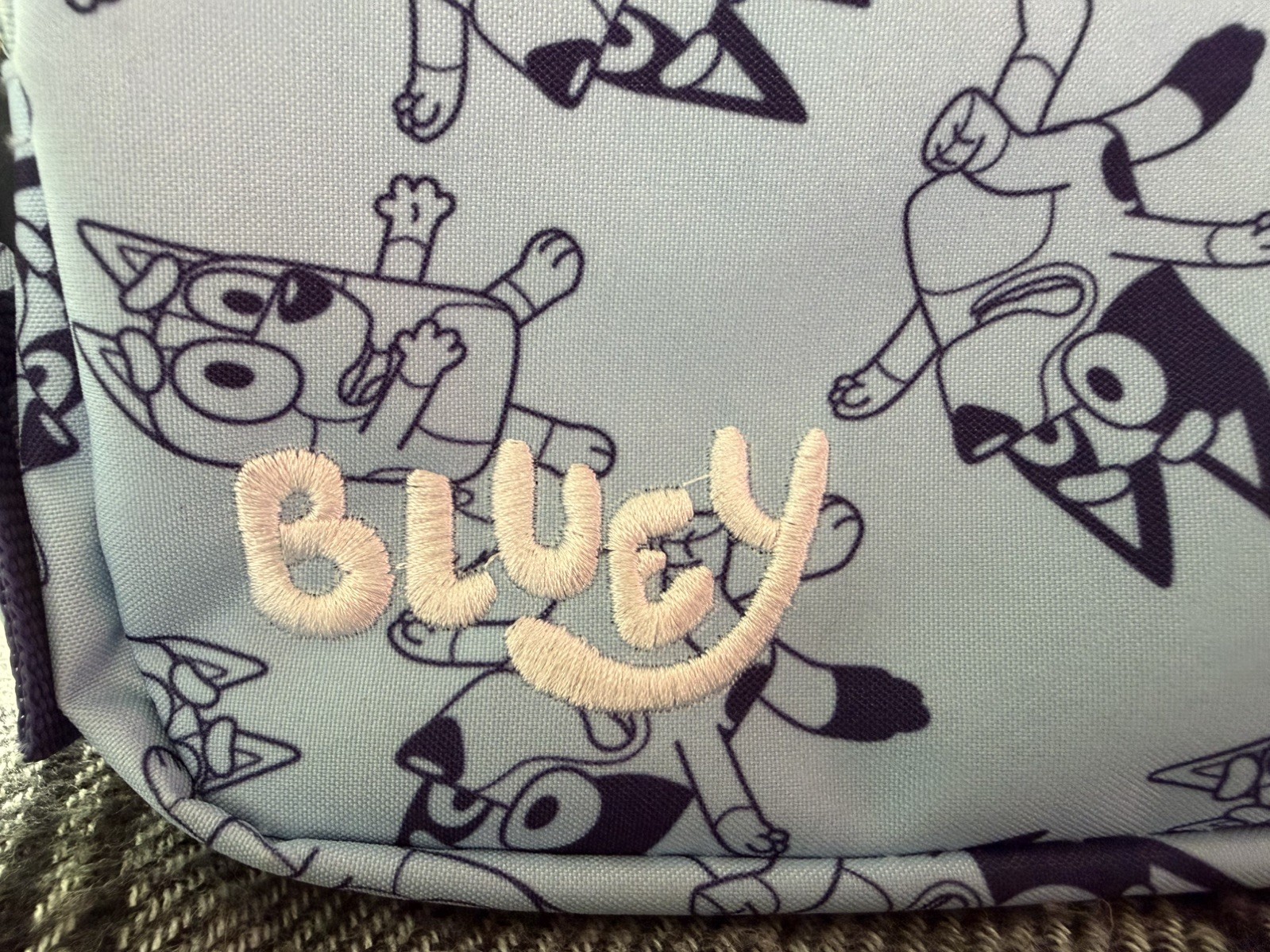 Toddler Bluey Backpack – Blue: Polyester, 3+ Years, Fictitious Character Pattern
