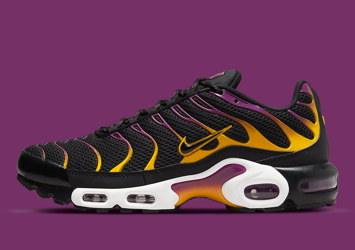Nike Air Max Plus TN Tuned Viotech Black Gold Purple Summer DX2663-001 Men’s