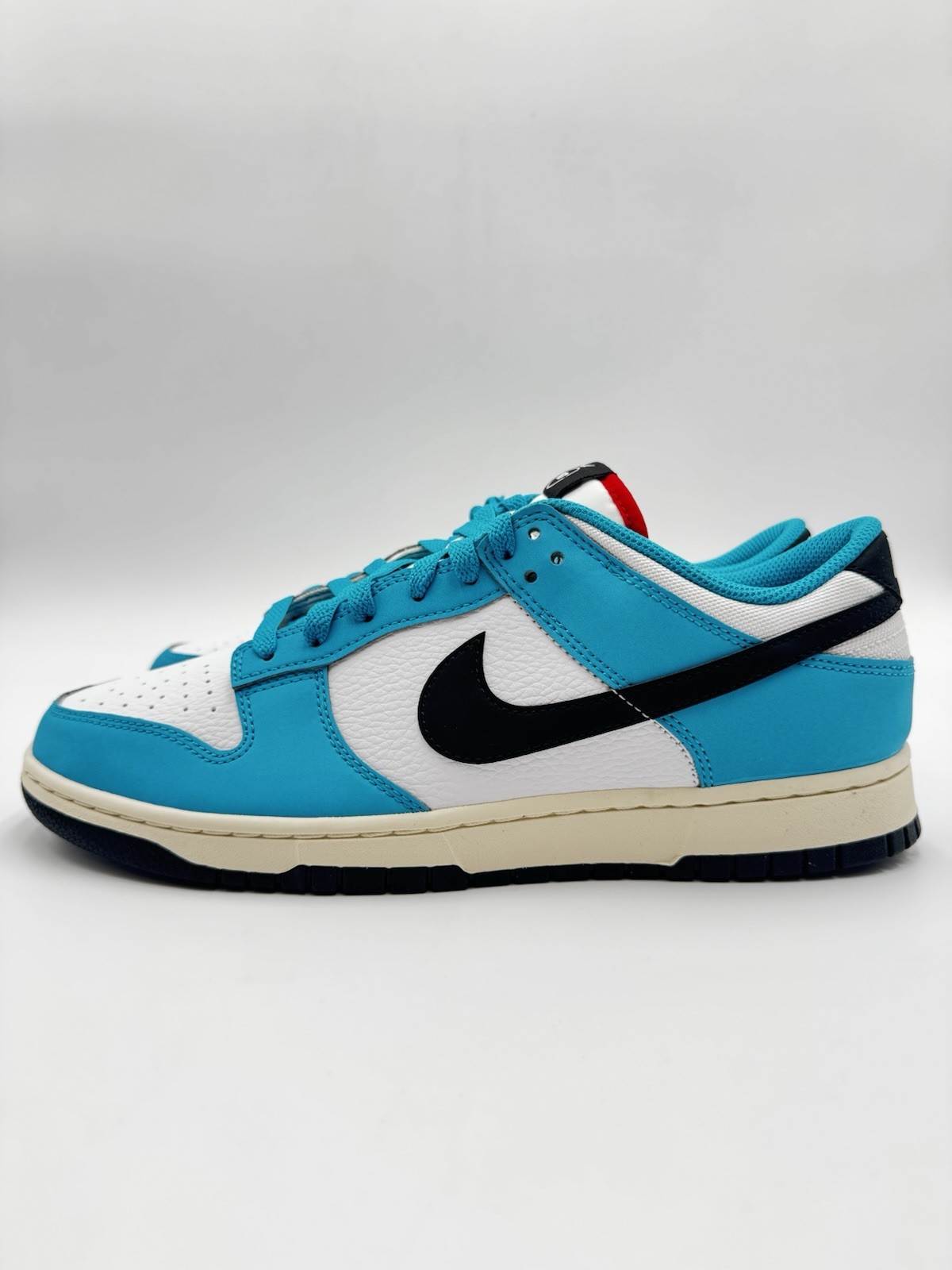 Nike Men’s Dunk Low Next Nature N7 Size 11 Sail/Turquoise |HJ9088-488|