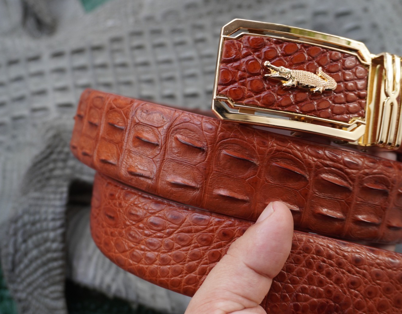 Cognac Genuine CROCODILE Hornback LEATHER Skin Men’s Belt -W 1.5 inch # C65