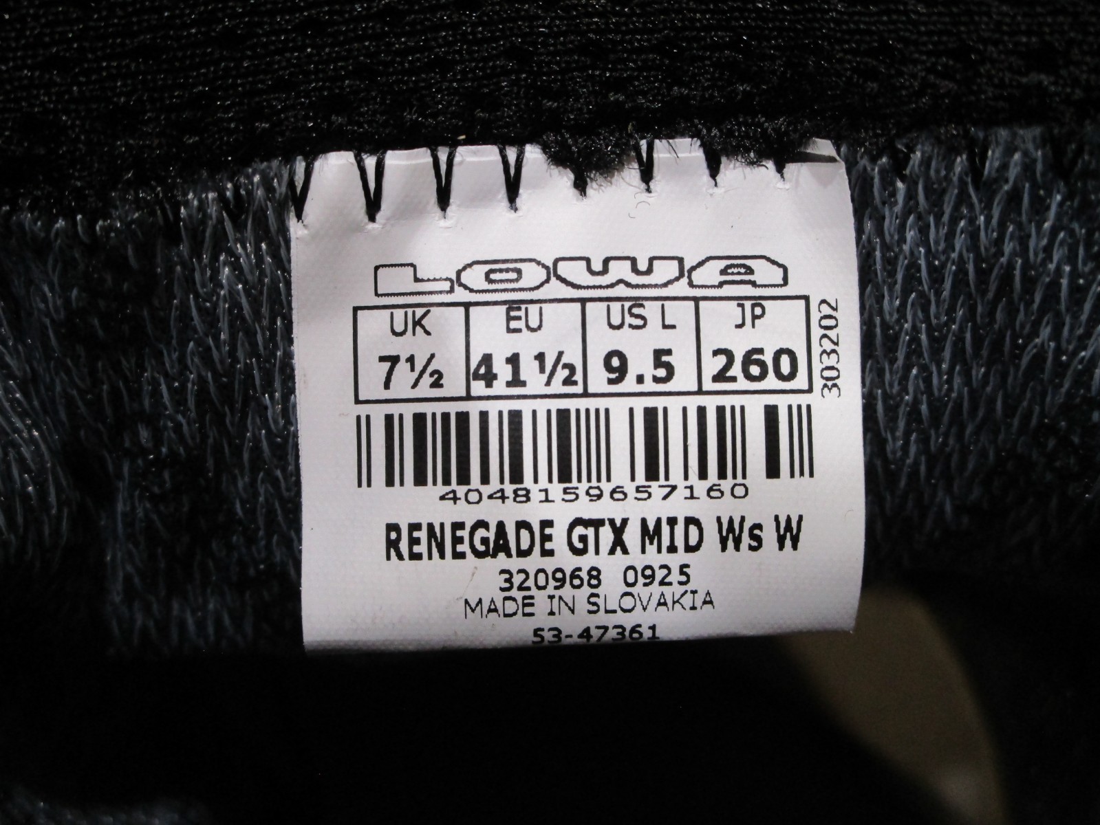 Lowa Women’s Renegade GTX Mid Gore-Tex Hiking Boot shoes, Size 9.5 W(Wide) US