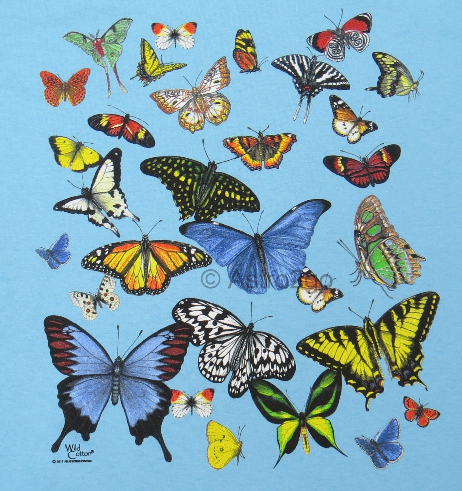 BUTTERFLY GLOW-Butterflies Moths Monarch Insects Bugs Nature Kid T Shirt sz XS-L